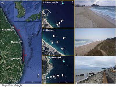 Infragravity wave height dependency on short wave parameters – observations on the east coast of South Korea